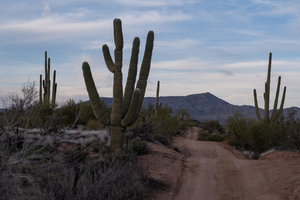 RIO VERDE FOOTHILLS EEUU / Foto: Getty