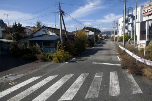 Photo illustration shows a deserted street in the contaminated exclusion zone around Japan's crippled Fukushima Daiichi nuclear power plant in November 2011. Genetic mutations have been found in three generations of butterflies from near the Fukushima nuclear plant, raising fears radiation could affect other species