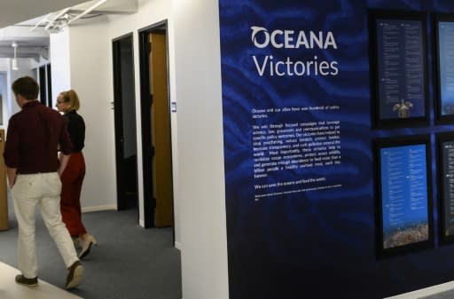 Oceana developed a system that monitors the movements of 70,000 fishing vessels around the world