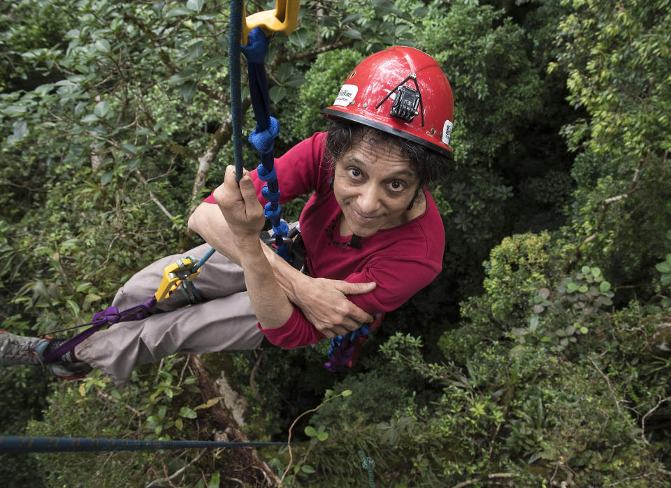 In this 2014 photo provided by Sybil Gotsch shows ecologist Nalini Nadkarni studying the rainforest canopy in the Monteverde region of Costa Rica. Nadkarni's childhood climbing trees shaped her career and now she's hoping she can get help kids interested in science in an new way: Barbies. Nadkarni has long created her own "treetop Barbies" and has now helped Mattel and National Geographic create a line of dolls with careers in science and conservation. (Sybil Gotsch, via AP)