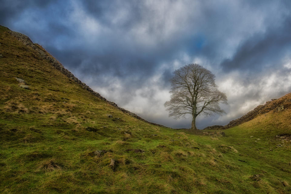 National Trust handbook 2019 photo competition