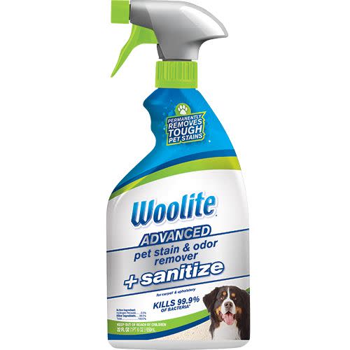 7) Advanced Pet Stain & Odor Remover + Sanitize