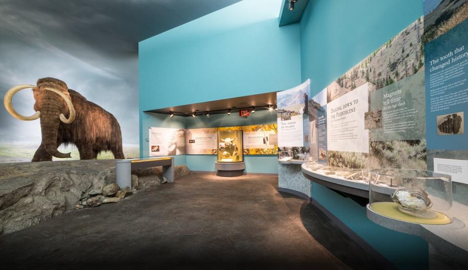 The Royal British Columbia Museum offers exhibits on both natural and human history.