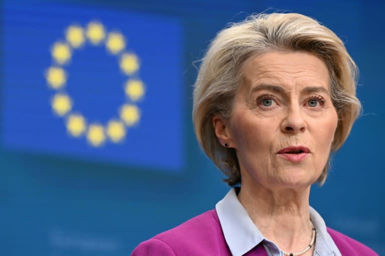 Angesichts der wochenlangen Bauernproteste hat EU-Kommissionspräsidentin Ursula von der Leyen den Landwirten weniger Bürokratie in Aussicht gestellt. Sie wolle den Mitgliedsländern einen Vorschlag machen, "um den Verwaltungsaufwand zu reduzieren", sagte sie (JOHN THYS)