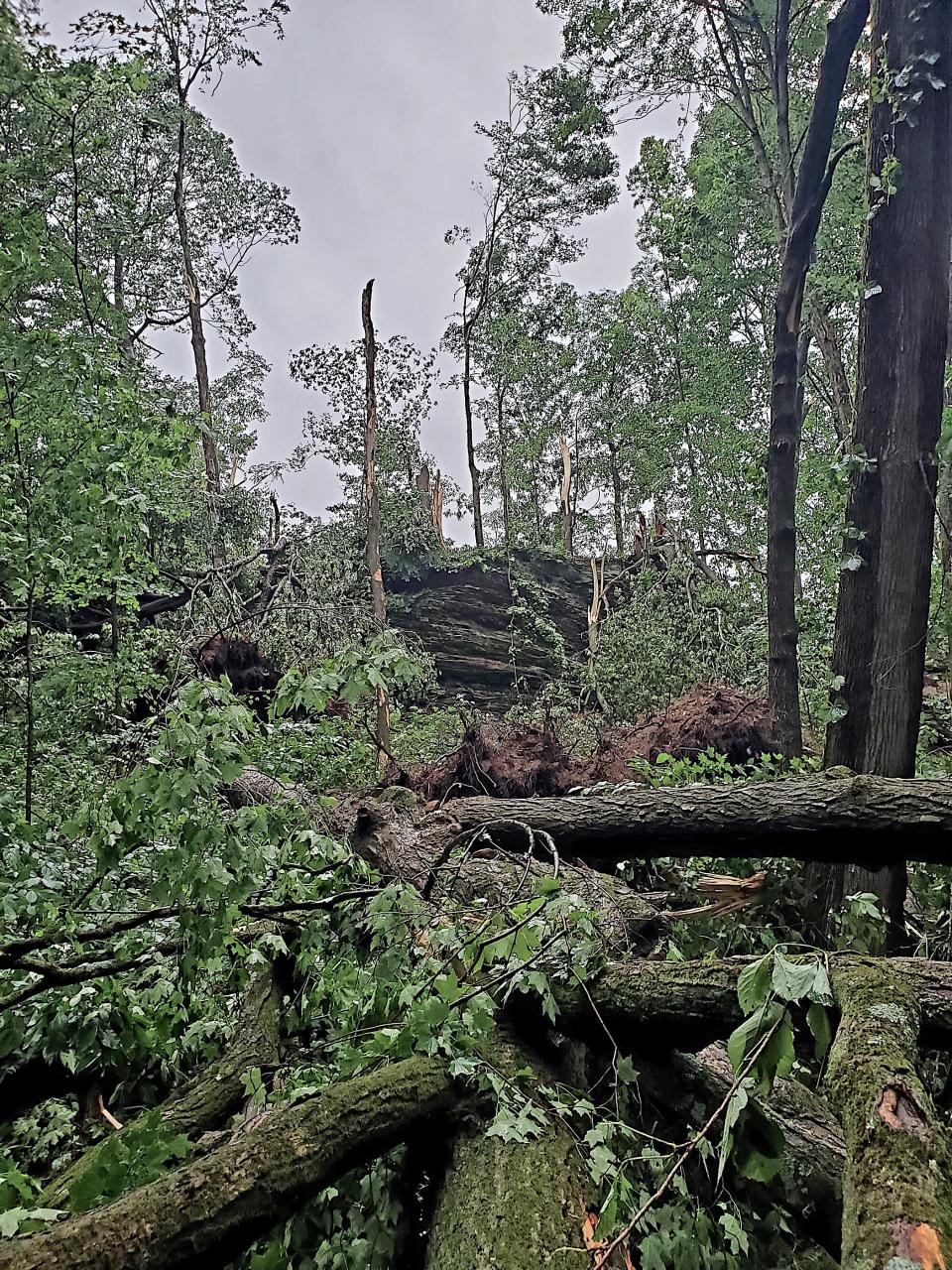 The view from atop a tree debris pile on Bromfield Road. Apparently, a wind shear had swept across a farm field above the bluff, snapping every tree in its path.