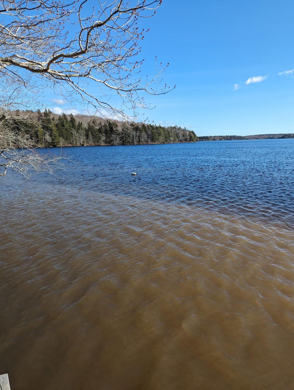 Glendon Ring took this photo in mid March. He believes the discolouration is a result of run off from a broken culvert and damaged road upstream from his lake.