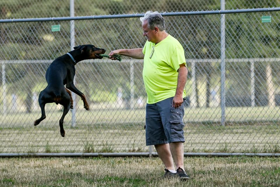 Luke Cloud, plays with his son's dog Stella, a Doberman pinscher, on Wednesday, July 13, 2022, at the Northern Tail Dog Park in East Lansing.