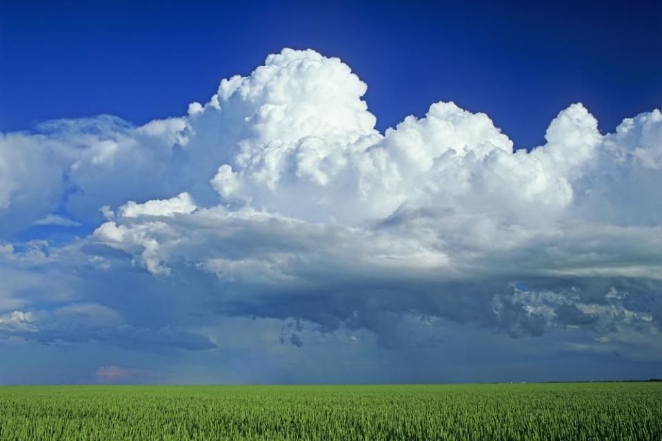 Cumulonimbus Clouds