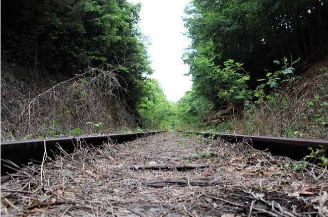 A portion of the Saluda Grade Trail rail line near Tryon, N.C.