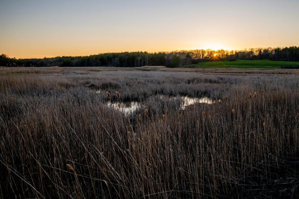 The sun sets on the upper reaches of York River near Birch Hill Road where a Paul Bunyan head on a tree watches over the land on April 26, 2021 in York. The head is believed to have been placed on the tree by land owners David and Sharan Gross, whose daughter, Amanda Bouchard, said "the river is important to us here and 'The Head,' as we call it, has been watching over it."