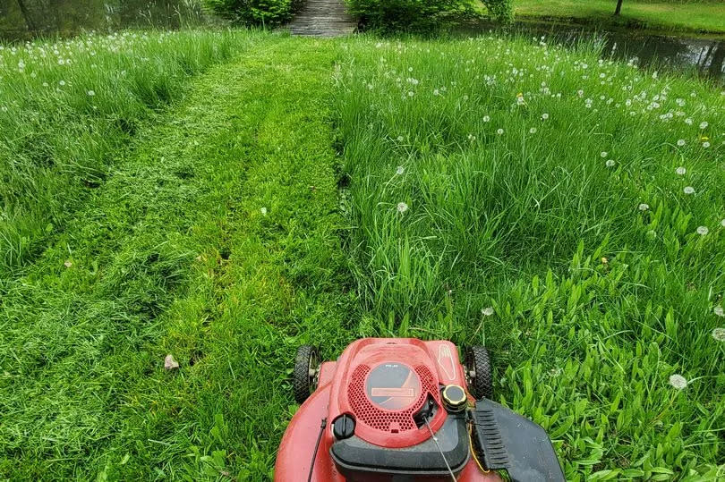 Push mower cutting very long grass. Job partially complete. - stock photo