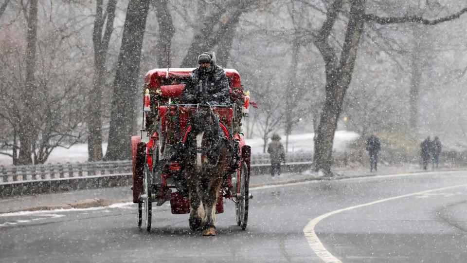 PHOTO: A person rides a carriage as snow falls in Central Park, in New York, on Jan. 6, 2024.  (Andrew Kelly/Reuters)