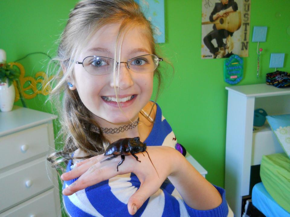 This undated photo provided by Orin McMonigle shows Gwynevere McMonigle with Dr. Phil, her pet hissing cockroach, Gromphadorhina portentosa. The most common pet roach, the hissing cockroach, is two to three inches long, and its name comes from the sound the insects make when disturbed, although they may lose the habit when they get used to being handled. Hissers make a good display not only due to their size, but also because they don't instinctively hide where they can't be seen. (AP Photo/Orin McMonigle)