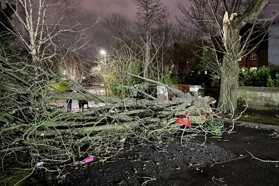 Storm Isha battered the island of Ireland earlier this week (Liam McBurney/PA) (PA Wire)