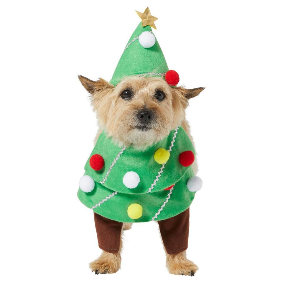 Dog wearing a Front Walking Christmas Tree Cat Costume