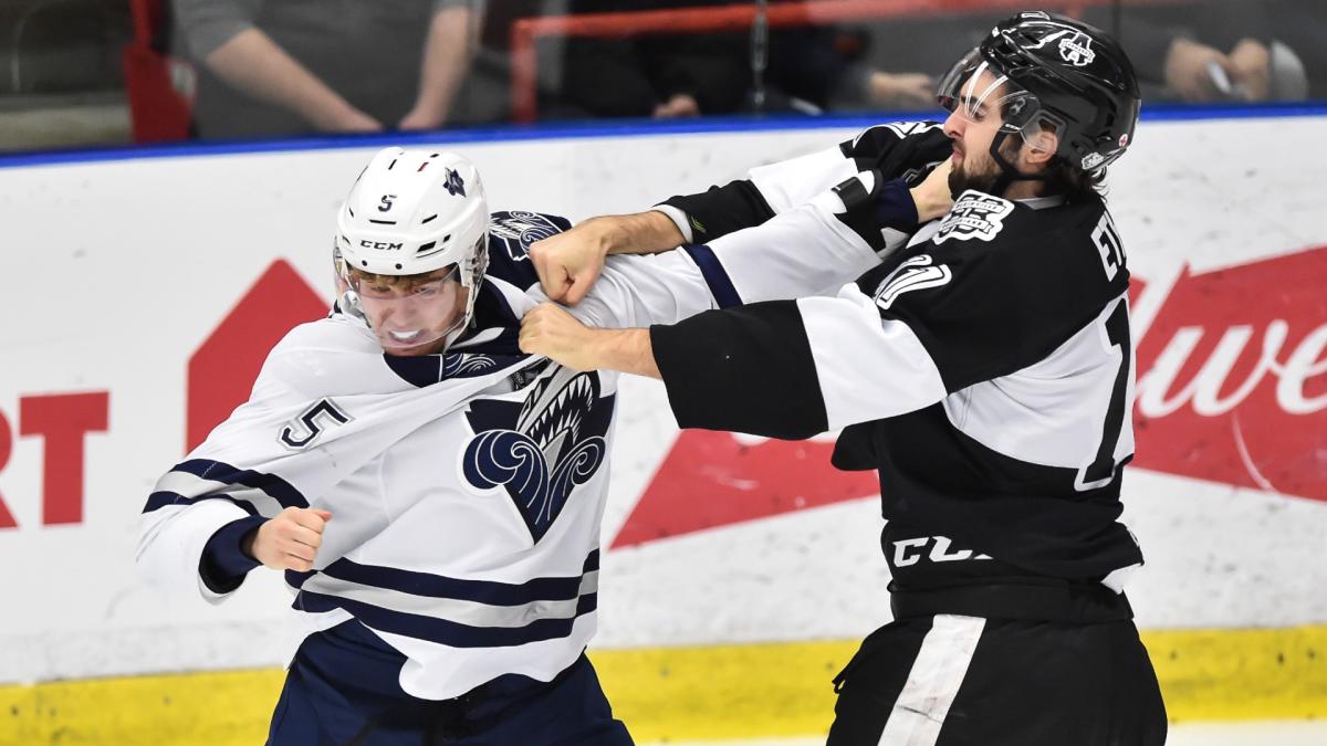 Hockey Fighting Rules