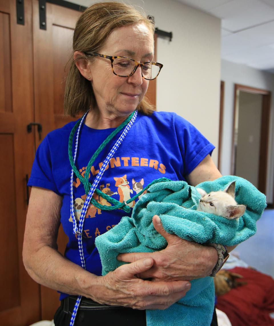 Volunteer Mary Lou Rupp cradles a cat who is recovering from surgery Monday, May 16, 2022, in the Smedley Family Surgery Center at Salina Animal Services.