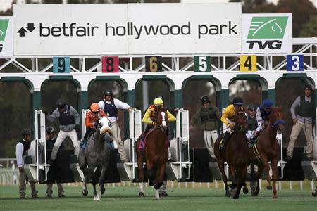 Horses break from the starting gate at the 75 year old Betfair Hollywood Park, which is closing down after tomorrow's race card, in Inglewood, California December 21, 2013. REUTERS/Jonathan Alcorn