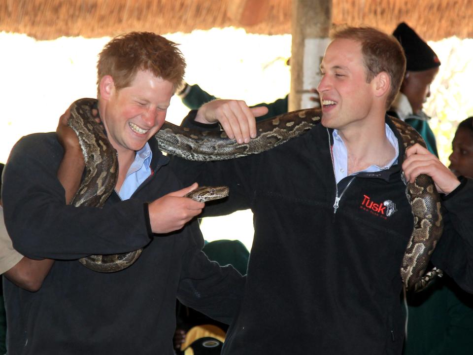 Prince Harry and Prince William hold a snake in Botswana.