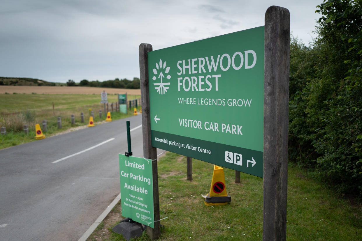 The tree in Sherwood Forest is famed for its connection with Robin Hood (Picture: SWNS)