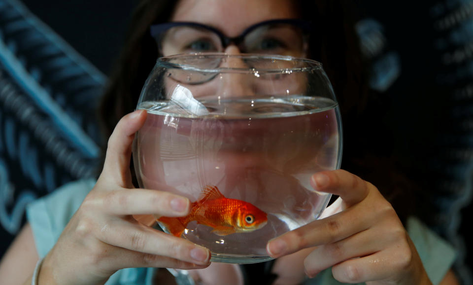 Emie Le Fouest from Paris brings her goldfish named 