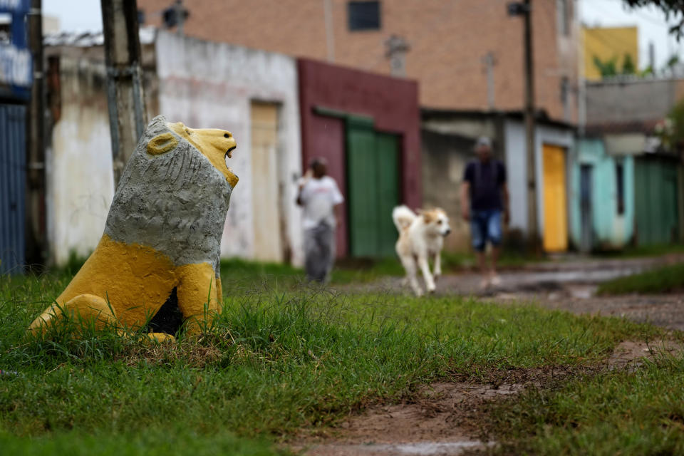 A lion sculpture adorns the front yard of a home in the Sol Nascente favela of Brasilia, Brazil, Monday, March 20, 2023. The growth of Sol Nascente, which means Rising Sun, reflects people moving here in search of cheap or unoccupied land to build homes, whereas elsewhere in the Federal District poor people often pay relatively high rents. (AP Photo/Eraldo Peres)