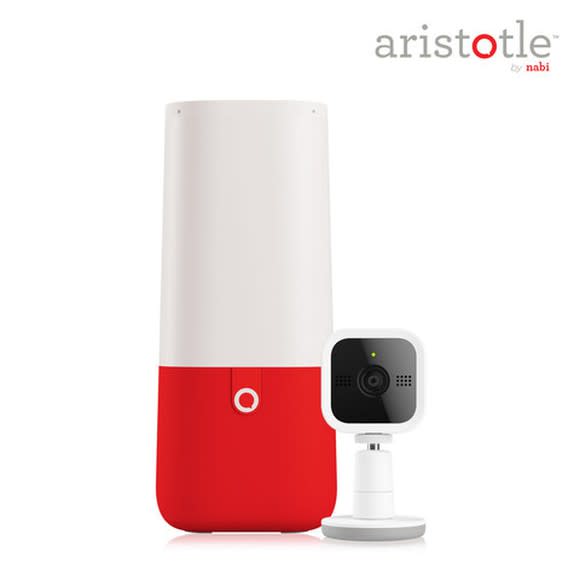 A cone-shaped smart speaker with accompanying webcam.