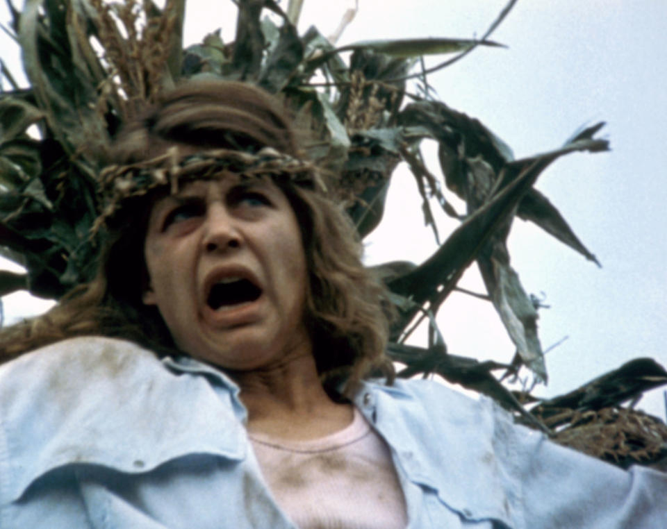 Linda Hamilton with a terrified expression is tied up with stalks of corn around her head in a scene from the movie "Children of the Corn."