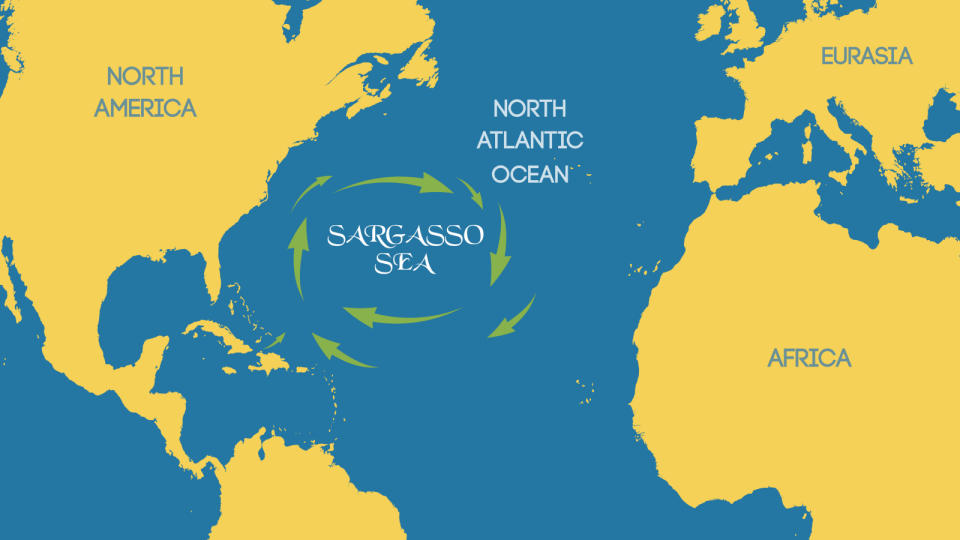 Illustration showing the Sargasso Sea.