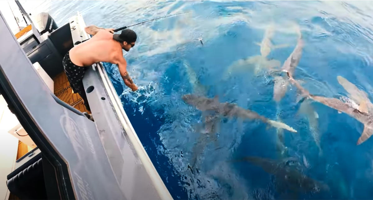 Aussie YouTube star shares hair raising video surrounded by sharks