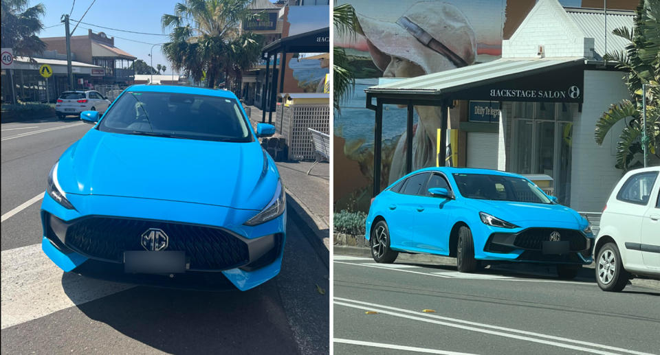 The dogs were left in a hot car in Shellharbour, with the blue car parked along a high street. 