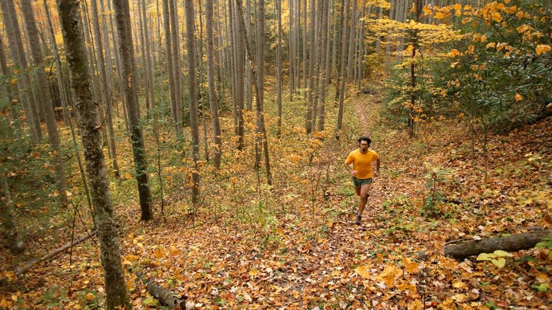 Man running under fall foliage