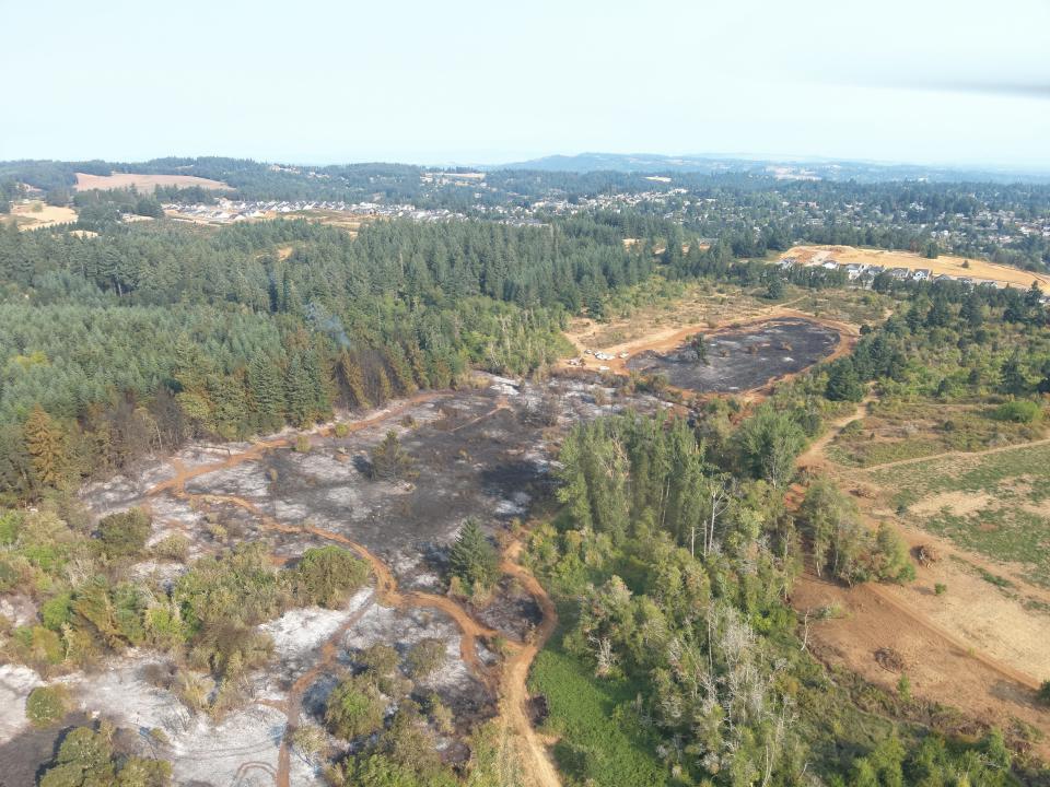 A view of the Liberty Fire damage in August 2023 looking northwest toward Salem. Lingering smoke in the tall fir trees off in the distance is captured by a Salem Police Department drone pilot.