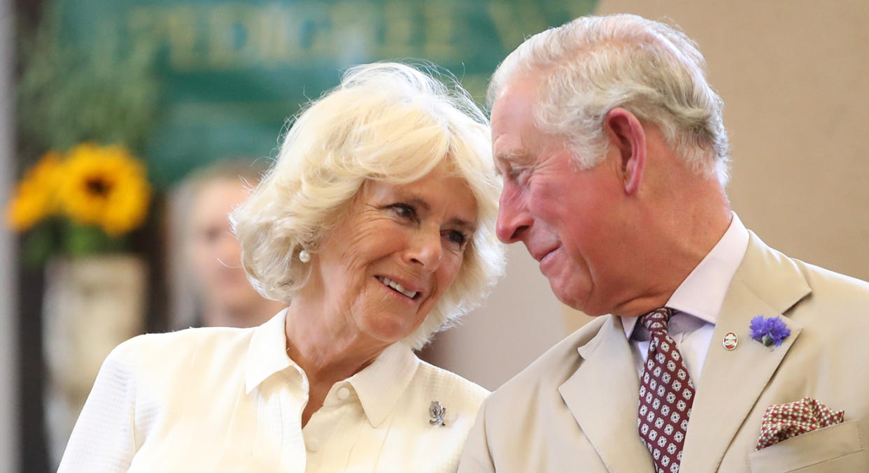 Charles and Camilla relationship