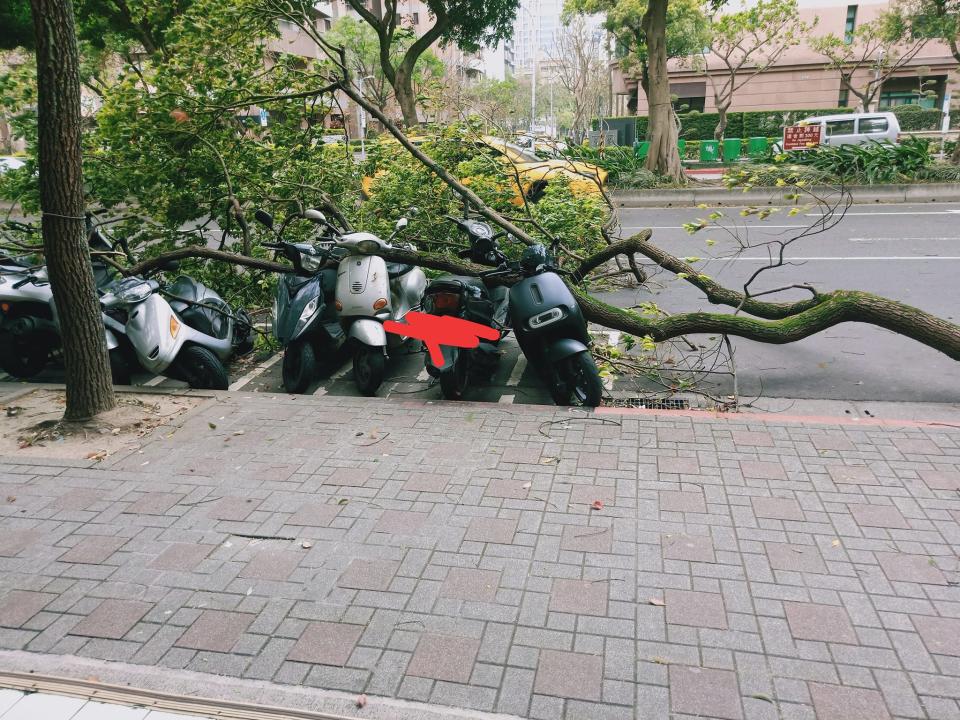 有民眾停放在路邊的機車被吹斷的樹砸倒（上）、工地大門被吹落（下）。（圖／翻攝自信義區兩三事臉書）