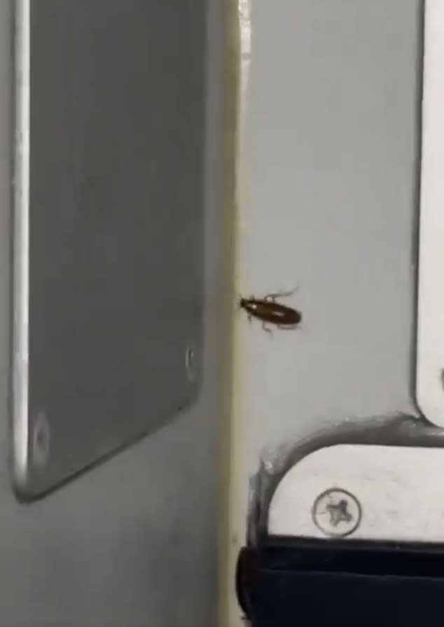 “Cockroaches and in the food area of a plane (anywhere for that matter) are just truly awful,” Tarun Shukla, an Indian aviation journalist who shared the clip, wrote in the caption. X