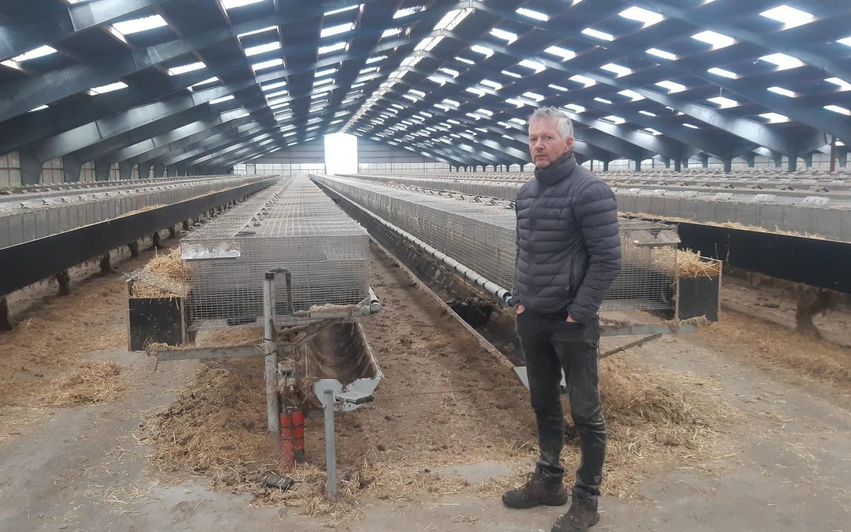 Peter Hindbo at his mink farm in central Jutland - Richard Orange