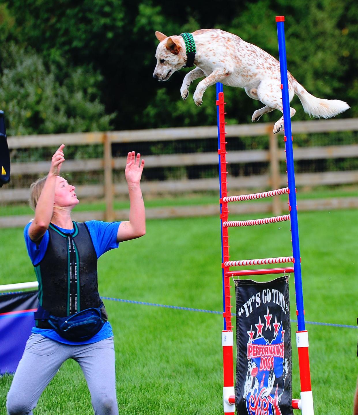 Ashleigh Quesenberry of Performance Dogs of Ohio catches Chai while performing a stunt during the Bark in the Park event on Sunday, Sept. 10, 2023, at Alliance's Coastal Pet-Burnell Dog Park.