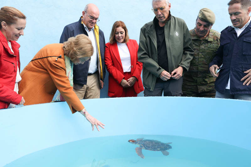 Reina Sofía suelta de tortugas en Tenerife