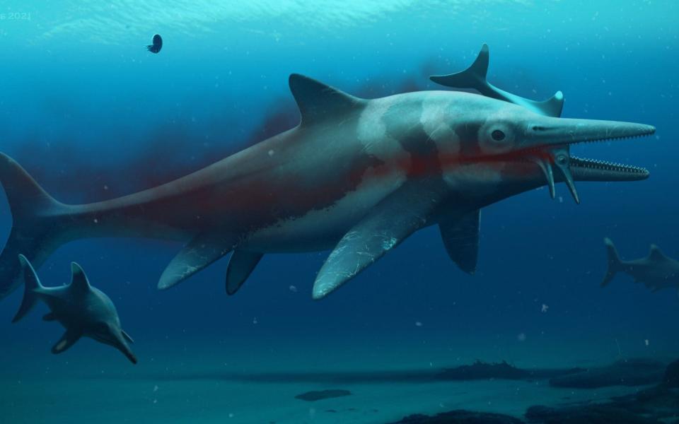 The ichthyosaur, pictured via an artist's impression, is approximately 180 million years old, with a skeleton measuring around 10 metres in length and a skull weighing approximately one tonne - Bob Nicholls/Anglian Water/PA Wire