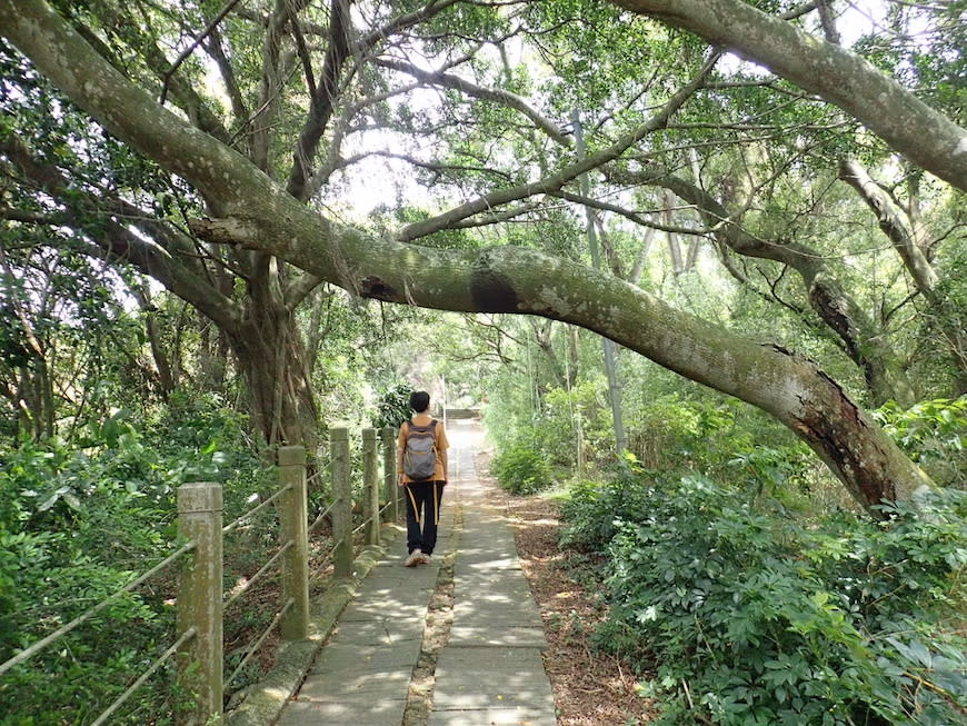 苗栗老崎古道（頭份後花園步道）