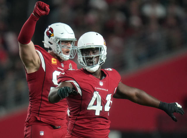 arizona cardinals 41