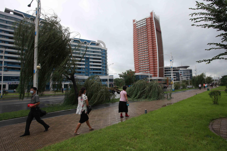 People pass by fallen trees by a typhoon on a main road in Pyongyang, North Korea, Thursday, Aug. 27, 2020. A typhoon damaged homes and other buildings, flooded roads and toppled utility poles on the Korean Peninsula before weakening to a tropical storm. (AP Photo/Cha Song Ho)