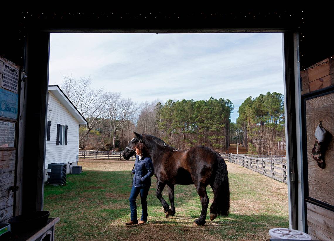 Olivia Turner walks with Klinger, a retired military working equine, at a farm in Zebulon, N.C. on Wednesday, Dec. 13, 2023. Turner adopted Klinger, a horse formerly with the Army caisson platoon, in November.