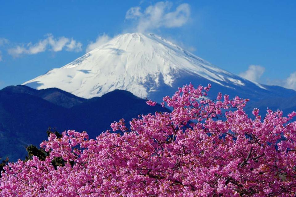 松田山（Image Source : Getty Creative/iStockphoto）