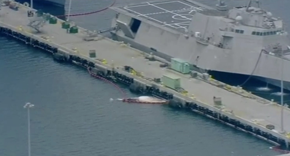 Two whales, believed to be a mother and calf were dislodged from underneath an Australian Navy ship. Source: ABC News