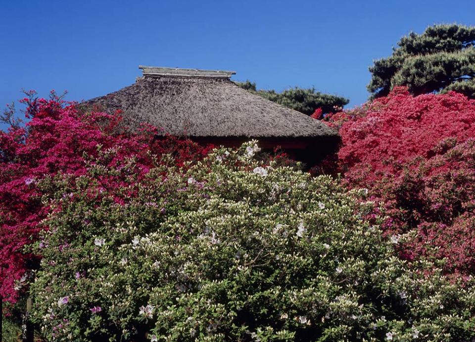 躑躅岡公園（Image Source : Getty Creative/MIXA）