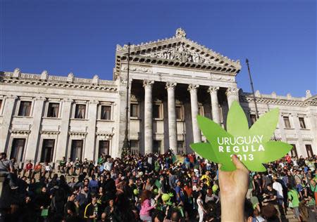 People participate in the so-called "Last demonstration with illegal marijuana" in front of the Congress building in Montevideo, as Senate debates a government-sponsored bill establishing state regulation of the cultivation, distribution and consumption of marijuana during a session, December 10, 2013. REUTERS/Andres Stapff