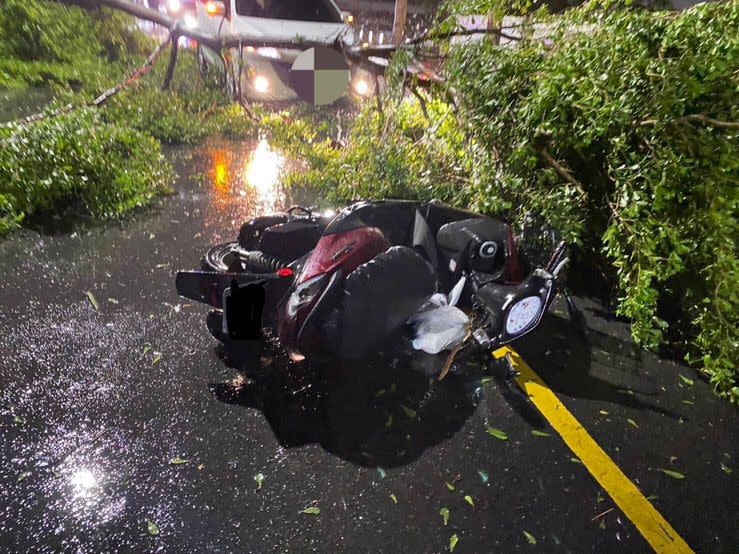 圖：台南仁德區文華路二棵路樹，颱風夜傳出不敵強風倒地，造成廖姓女大生騎車經過不慎撞及受傷，被救護車緊急送醫治療。（記者林云翻攝）