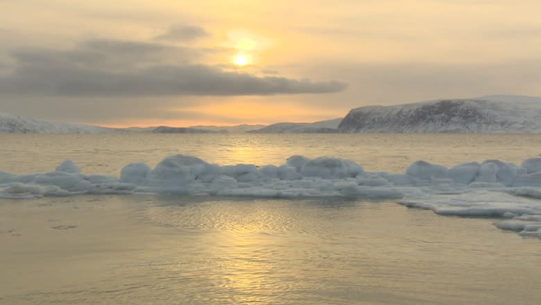 Clouds that are more 'sensitive' to pollution are speeding up Arctic warming